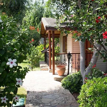 Surf Tatil Koyu Parco vacanze