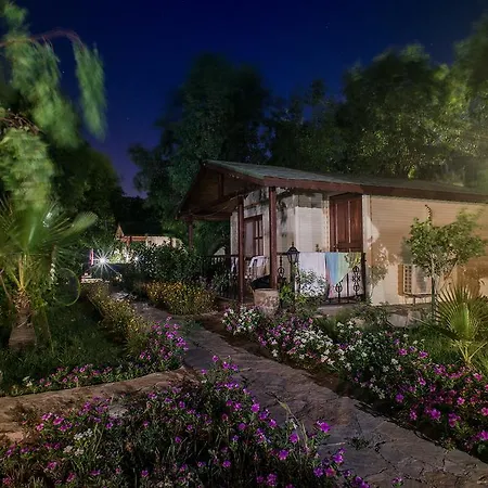 Surf Tatil Koyu * 닷차