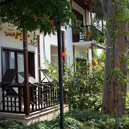 Surf Tatil Koyu 닷차