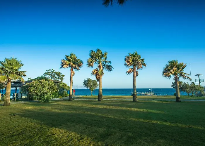 Semesterpark Surf Tatil Koyu