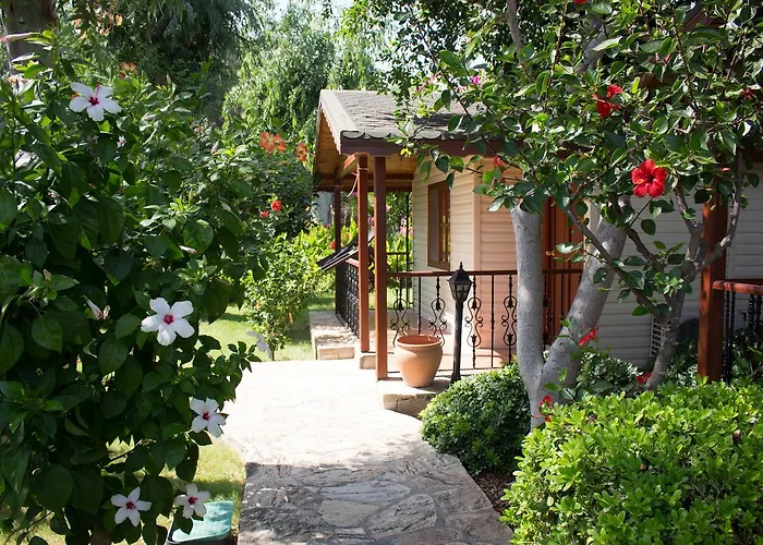 Surf Tatil Koyu Semesterpark