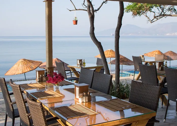 Surf Tatil Koyu Semesterpark